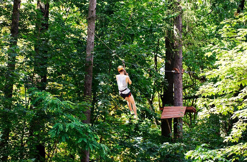 Fearless Flights Top Destinations For A Zipline Adventure In India