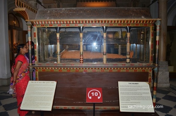 Visit the Mummy in Jaipur Visit the Mummy in Jaipur