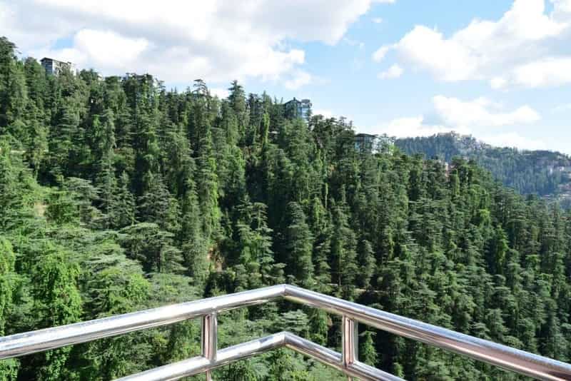 Kiala Forest