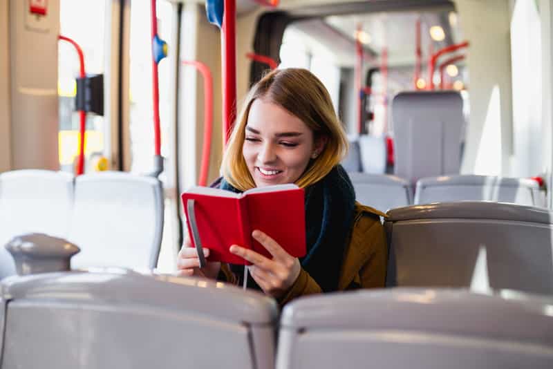 Traveler in Public Transport