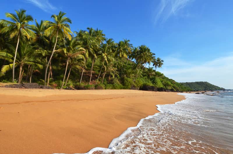 A sandy beach in Goa