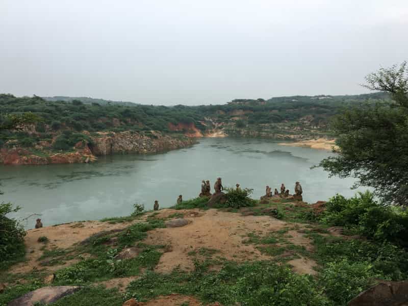 Asola Bhatti Wildlife Sanctuary