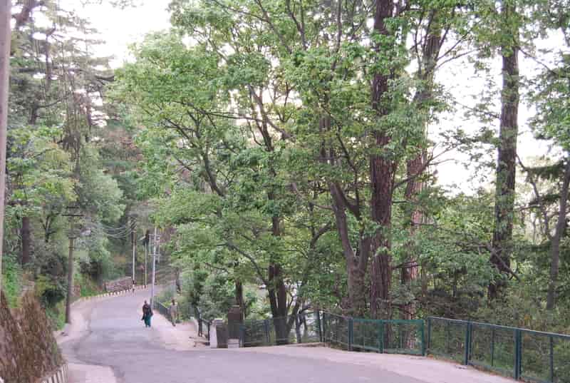Kasauli
