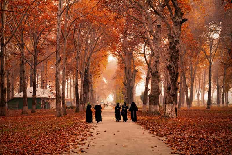 Kashmir, India
