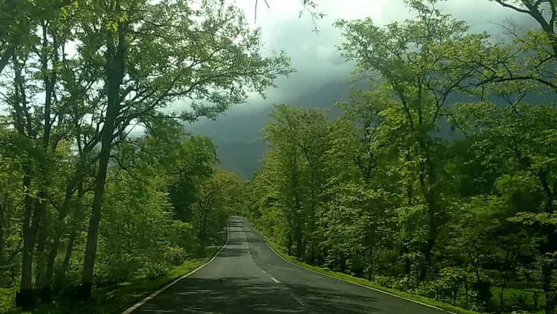 Malshej Ghat, Maharashra