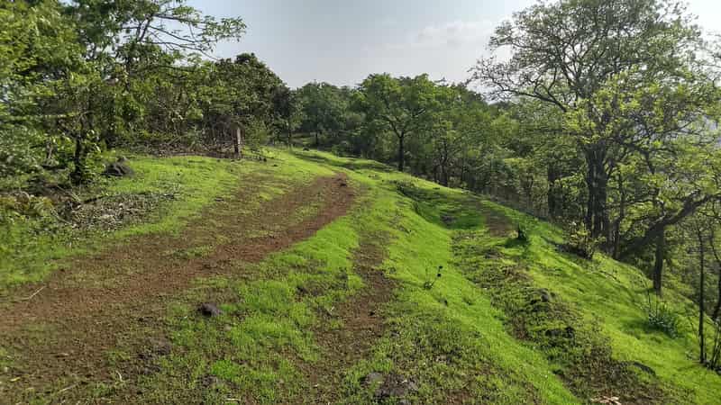 Route to the top of Yeoor Hills