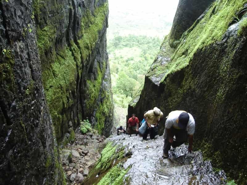 Trekking to Sudhagad Fort