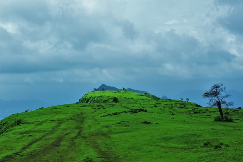 The top of the Garbett Point