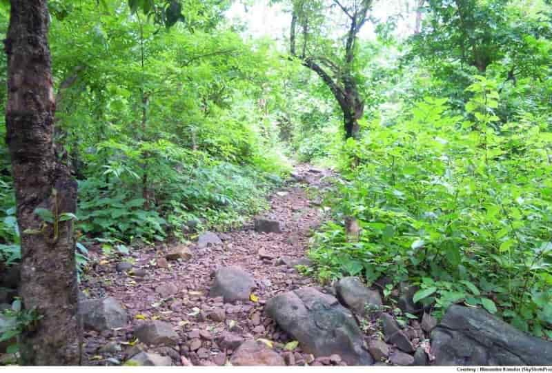 Trekking trail at Chinchoti