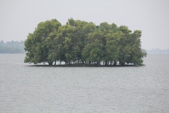 Upper Vaitarna Lake