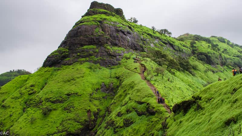 Vikatgad Fort, Neral