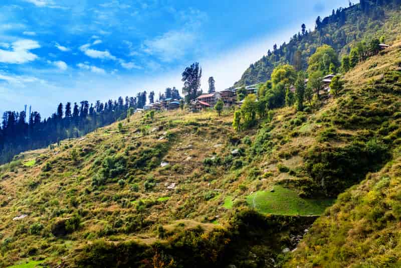 Malana