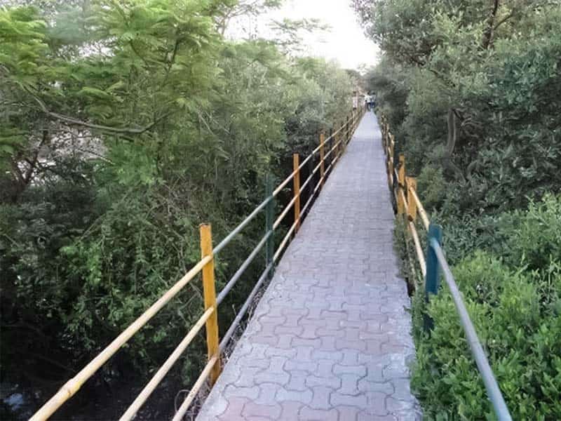 Rajiv Gandhi Joggers Park is a romantic spot for couples