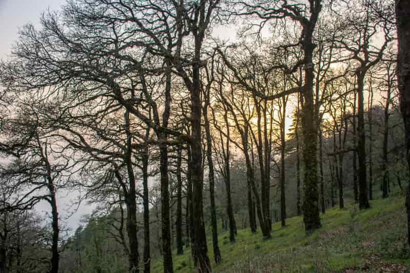 Sunset at Nainital