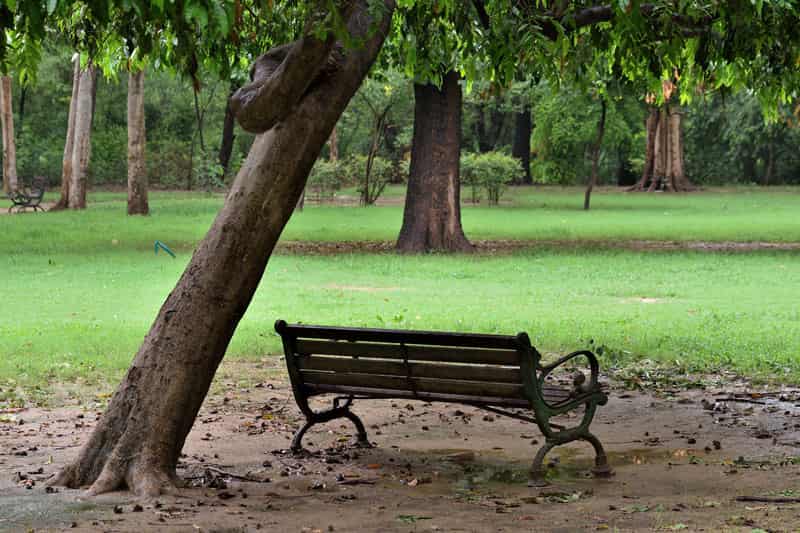 The Deer Park is a peaceful place to relax with your partner