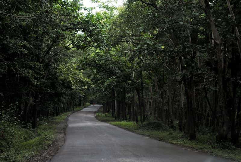 A drive through Anshi National Park