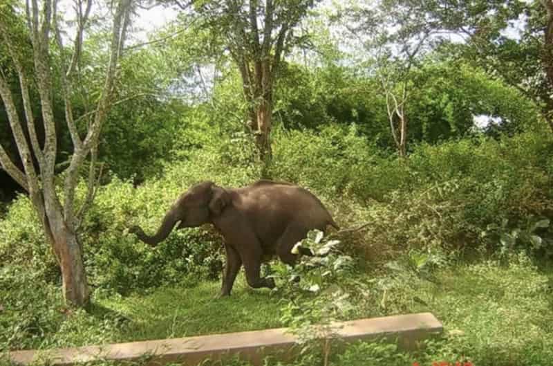 Dajipur Wildlife Sanctuary, Dajipur