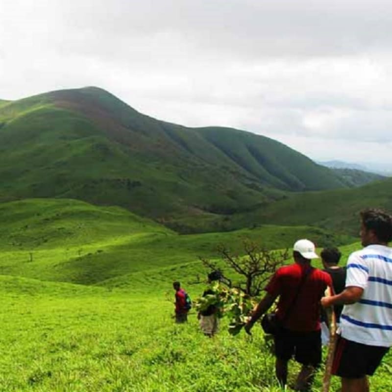 Enjoy camping at Sakleshpur