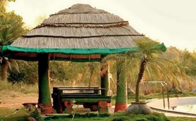 Mango Mist Resort