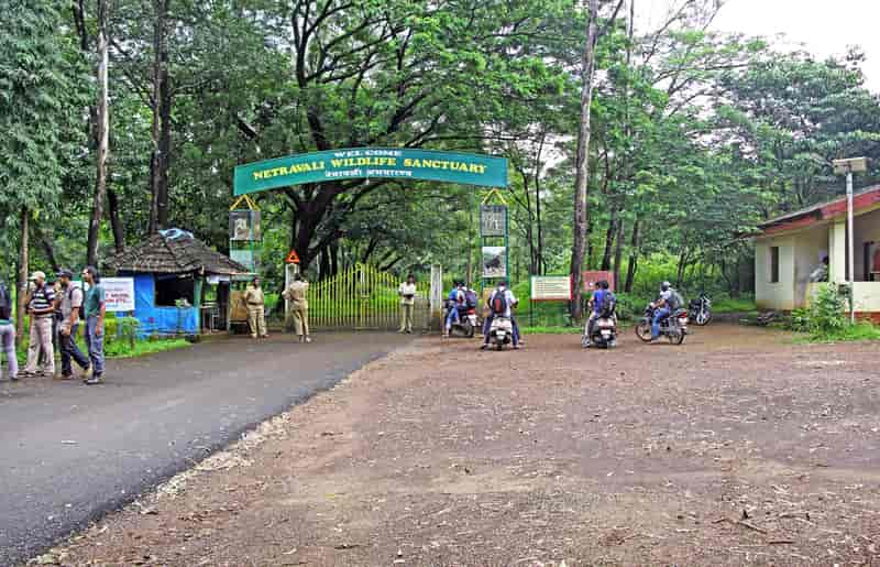 Netravali Wildlife Sanctuary