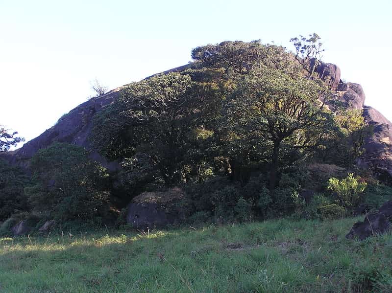 Pakshipathalam at Gonikoppal