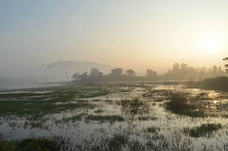 Sunrise near Kanakpura