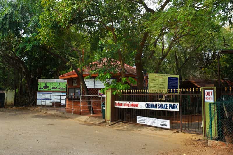 A View of the Snake Park