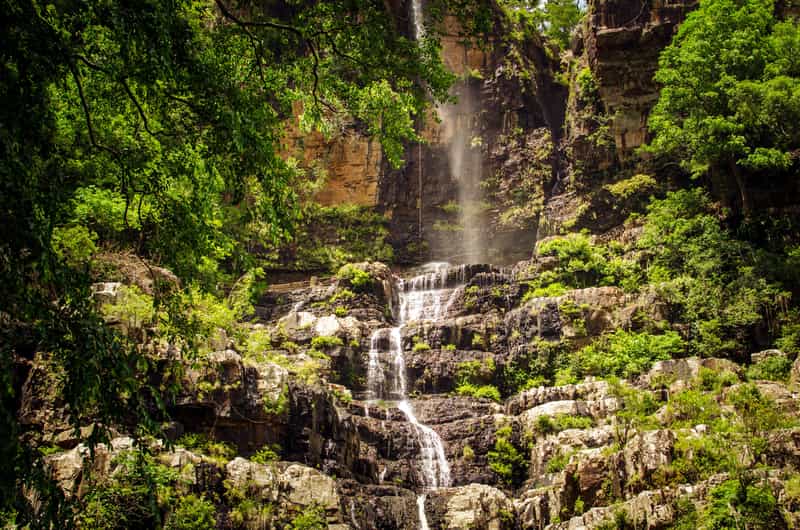 Amazing Greenery around Talakona Waterfalls