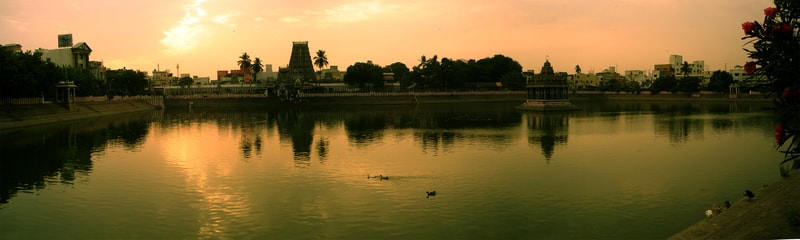 Dawn breaking over the Temple Tank at Mylapore