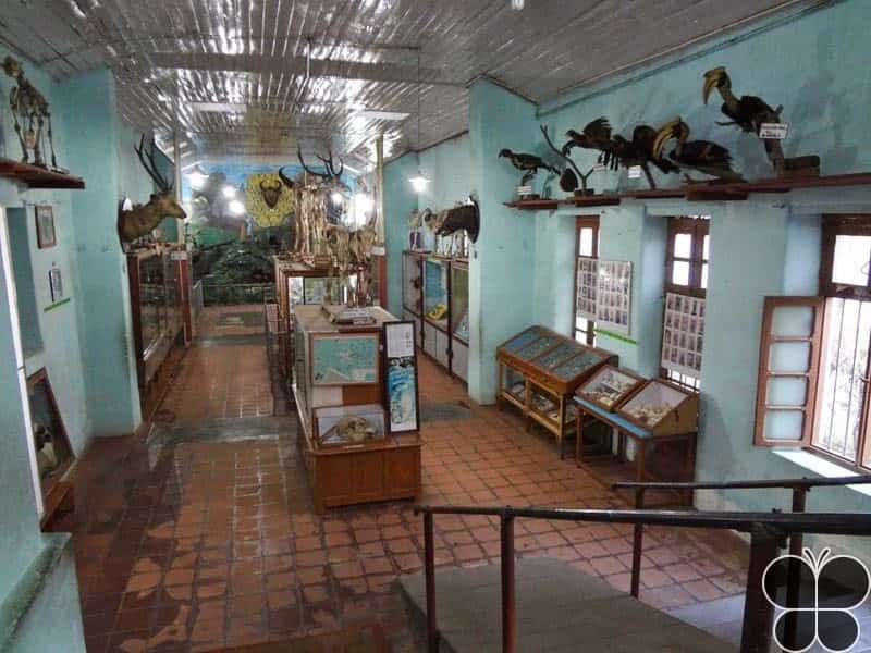 Shenbaganur Museum