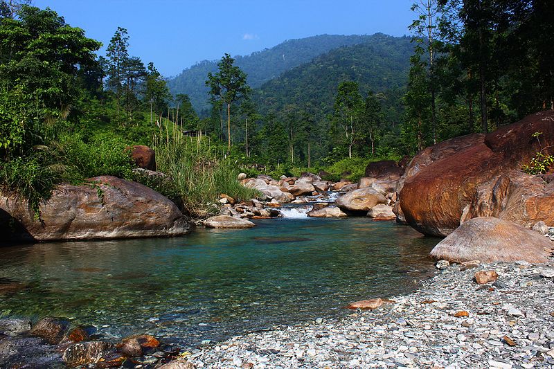 The clear waters of the Jaldhaka river