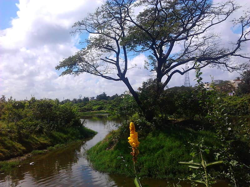 Water body at the Tholkappiar Eco Park