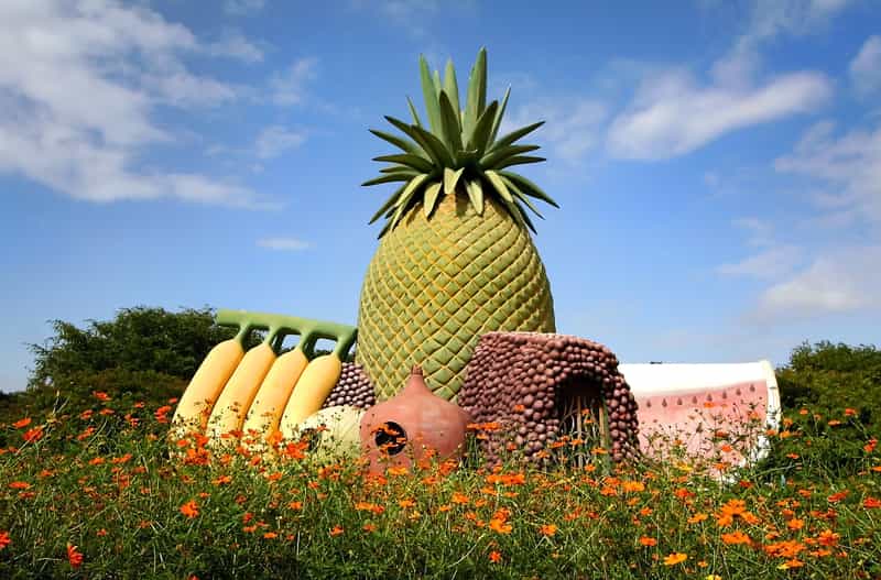 A View of the Fruit Monument at the NTR Gardens