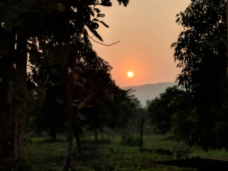 A forest road in Kolad