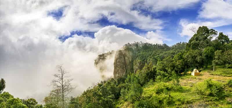 Cliffs At KodaiKanal