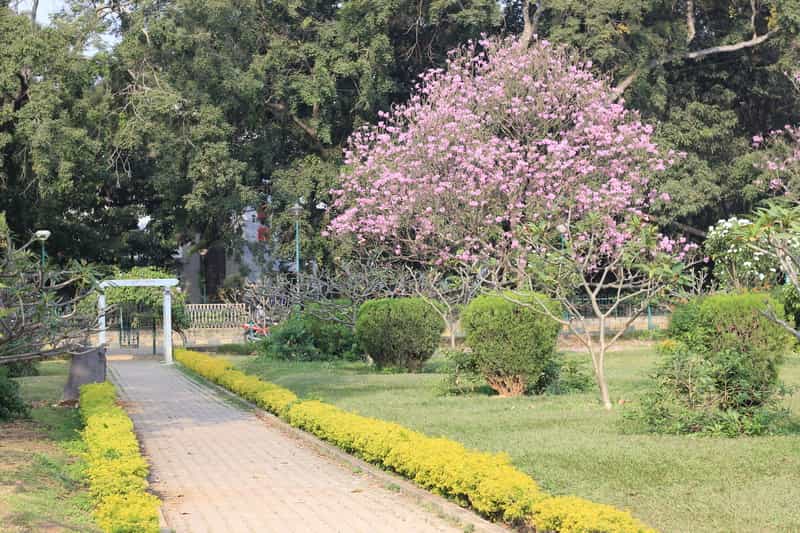 Is cubbon park safe for lovers?