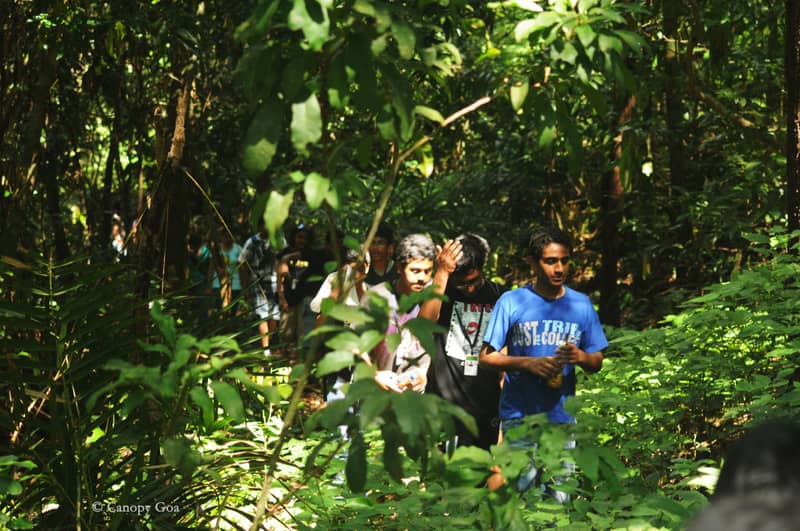 Tambdi Surla Waterfall Trek