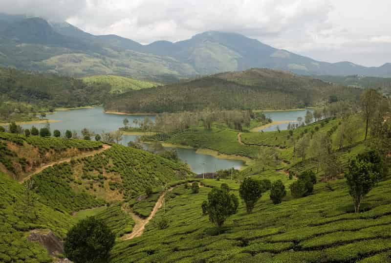 The Lush Green Hills Of Yelagiri