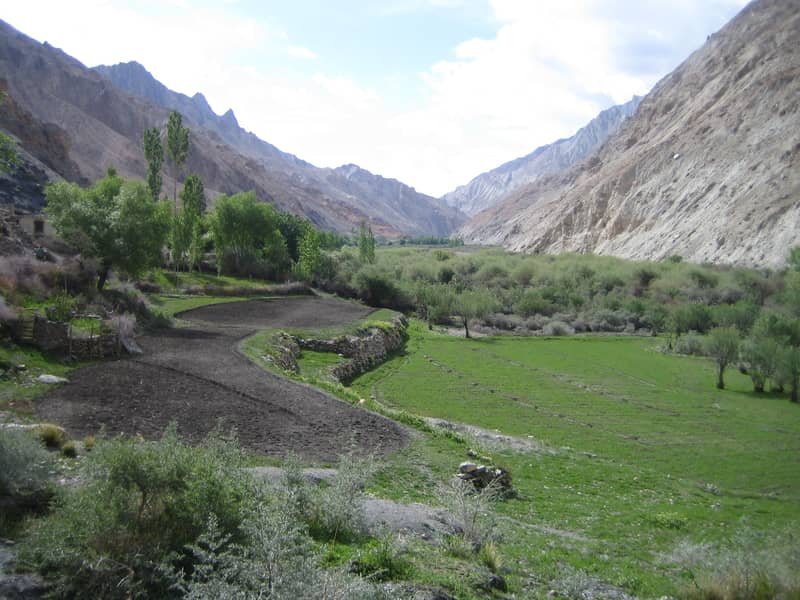 The Markha Valley