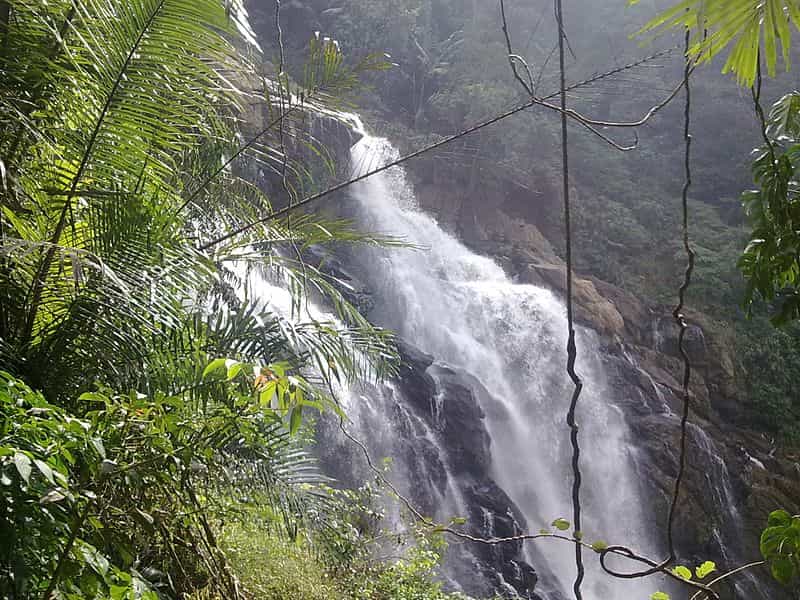 A Panoramic View of the Beautiful Meenmutty Falls