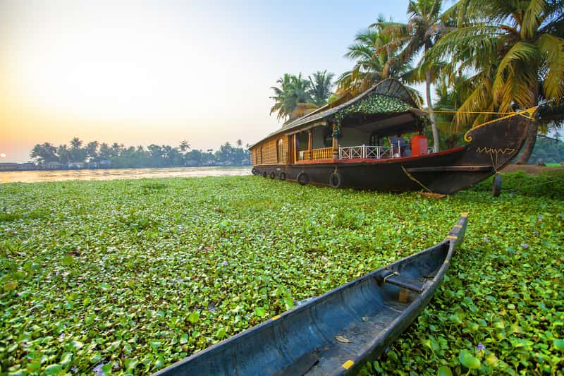 Alleppey