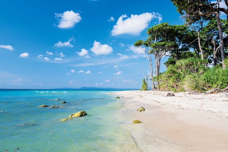 Some of the most pristine beaches are here in the Andamans