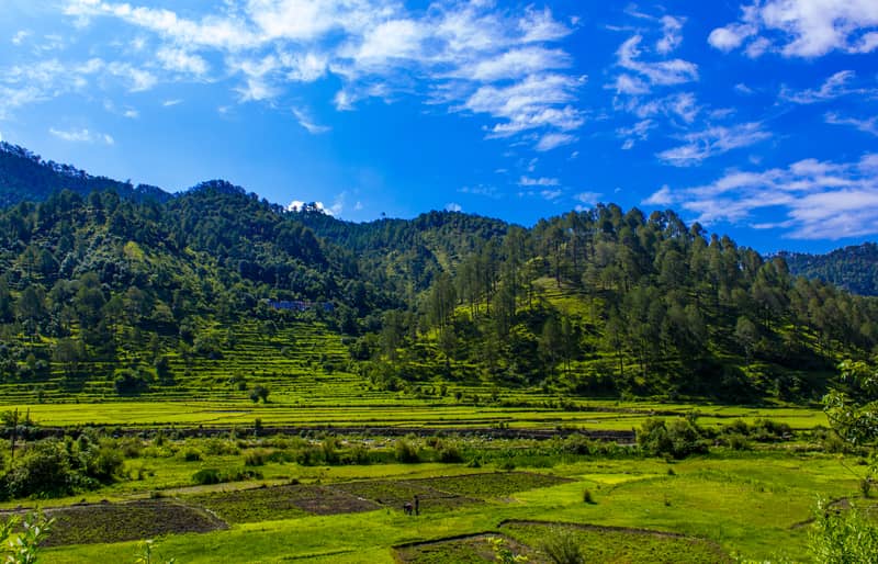 Pastoral Beauty of Ranikhet