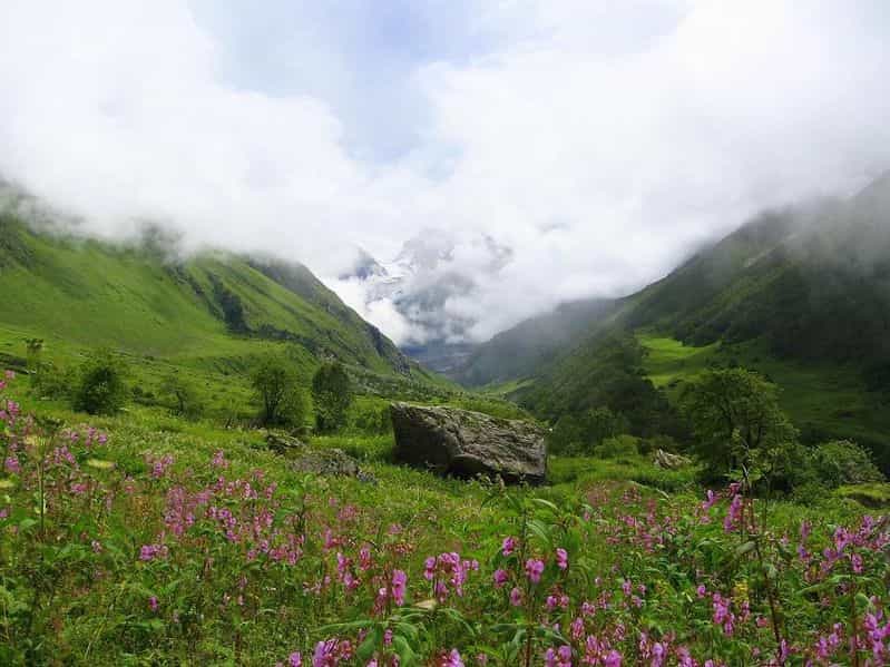 Stunning view of mountains