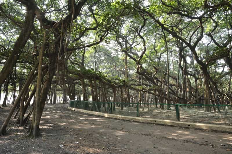 Acharya JC Bose Botanical Garden