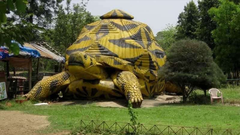 Tata Zoological Park