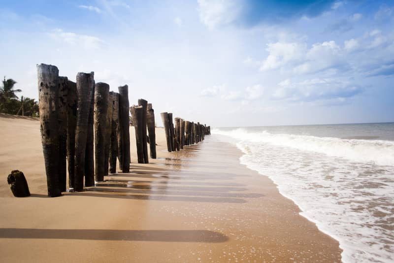 Wooden posts on the beach, Pondicherry