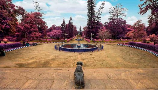 Park in Bangalore: Explore the Blooming Green Havens in the ‘City of Gardens’