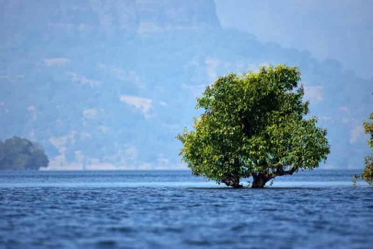 31 Places to Visit Near Mumbai [2022 Updated List] Treebo Blog