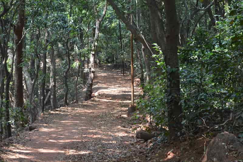 Matheran is an eco-friendly hill station